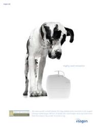 CCA Advertising