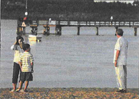 Aricept TV spots hype benefits, says DDMAC