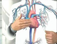 DDR on DTC: Pradaxa