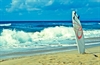 Surf your way to brand success