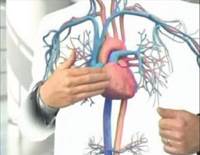 DDR on DTC: Pradaxa DDR on DTC: Pradaxa