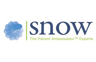 The Snow Companies The Snow Companies