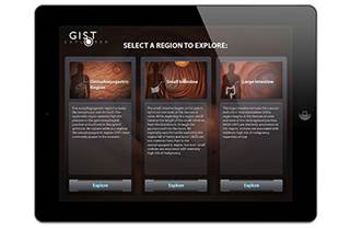 INVIVO's 2012 projects included work for the GIST Explorer INVIVO's 2012 projects included work for the GIST Explorer