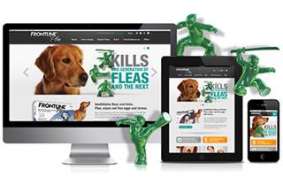 Work for Frontline Plus Work for Frontline Plus
