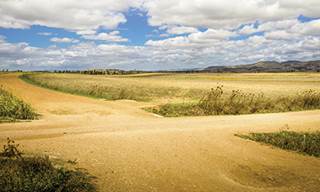 Specialty Pharma: Coverage at the Crossroads Specialty Pharma: Coverage at the Crossroads