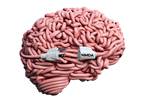 Top 100 Agencies 2014: Plugged Into New Thinking Top 100 Agencies 2014: Plugged Into New Thinking