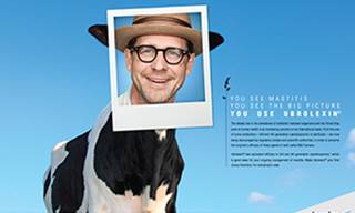 Top 100 Agencies 2014: ICC Lowe Top 100 Agencies 2014: ICC Lowe