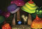 Read the Digital Edition of the 2014 Book of the Night Read the Digital Edition of the 2014 Book of the Night