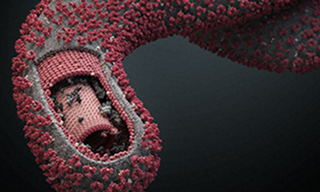 Government, charities spur production of Ebola treatment Zmapp Government, charities spur production of Ebola treatment Zmapp