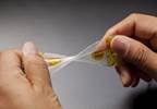 MC10 partners with Univ. of Rochester on wearable sensor research MC10 partners with Univ. of Rochester on wearable sensor research