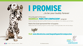 Magnolia's Paws for Compassion, for Eisai, shows the Biolumina Group's passion and drive Magnolia's Paws for Compassion, for Eisai, shows the Biolumina Group's passion and drive