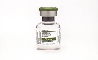 Merck's Keytruda, with Bristol-Myers Squibb's Opdivo, numbers among the PD-1 inhibitor group Merck's Keytruda, with Bristol-Myers Squibb's Opdivo, numbers among the PD-1 inhibitor group