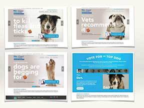 Best Branded Website for Consumers: 2015 Best Branded Website for Consumers: 2015