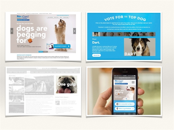 Dogs in Your Face