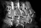 Data Management: Not If, But When Data Management: Not If, But When
