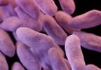 Drugmakers renew interest in antibiotic development Drugmakers renew interest in antibiotic development