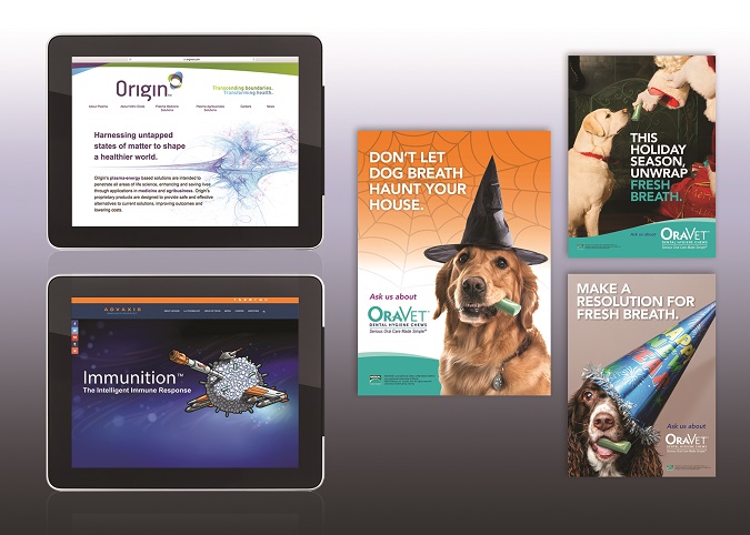 Renavatio Healthcare Communications