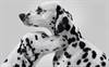 6 Campaigns Driving Better Behavior 6 Campaigns Driving Better Behavior