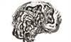 Rise of the health-tech ethicist Rise of the health-tech ethicist