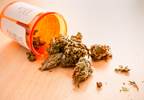 Marijuana: a green grey zone for patients, doctors, and pharma companies Marijuana: a green grey zone for patients, doctors, and pharma companies