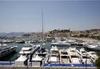What CMOs are thinking in Cannes What CMOs are thinking in Cannes